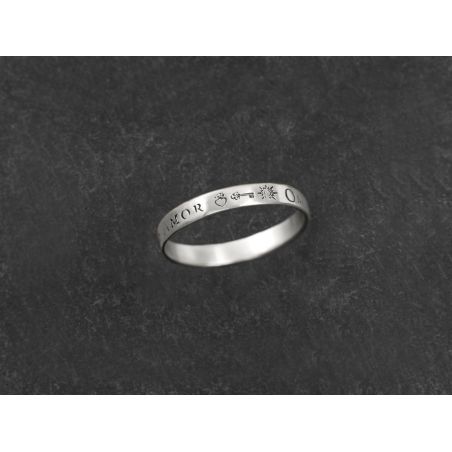 Omnia Vincit small white gold ring for men by Emmanuelle Zysman