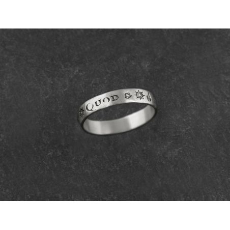 Amo Quod silver ring for men by Emmanuelle Zysman